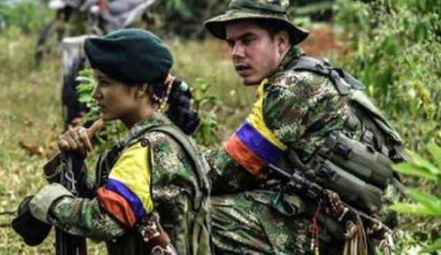 Entre septiembre de 2016 y agosto de 2017, las Farc liberaron formalmente a 135 niños, según la ONU. Archivo