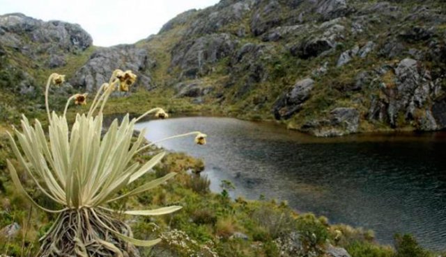 El obgetivo del ONG es de Preservar ecosistemas de fundamental importancia para el abastecimiento de agua en la capital santandereana y su área metropolitana. Colprensa