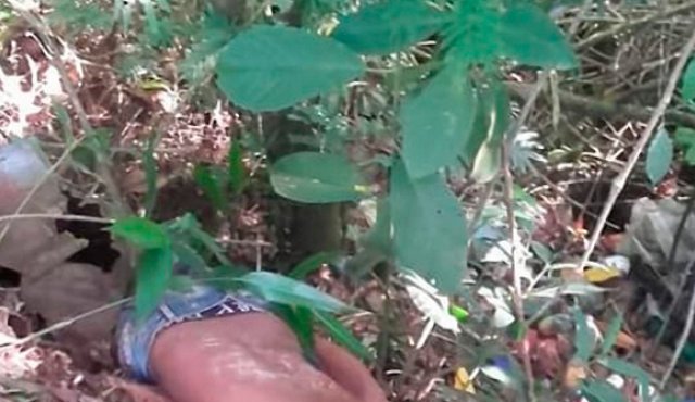 El joven se desapareció la noche del sábado y en la mañana del domingo fue hallado asesinado. Su madre lo sepultará en Cúcuta. Cortesía