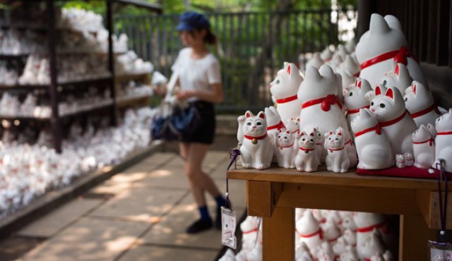 El templo tiene cerca de 10.000 figuras de gatos blancos, llamados ‘maneki-neko’, inspirados en la raza bobtail. Martin Bureau