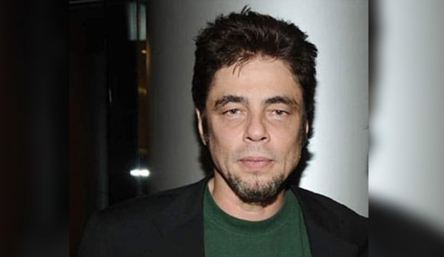 Un drama acerca de un hombre (Del Toro) que es hijo de una pareja divorciada y que repite en su propio matrimonio los mismos errores de sus padres. Internet