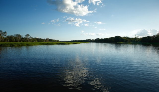 El río Casiquiare toma el flujo del Orinoco aguas arriba de su división para aportar a la cuenca del Amazonas. Archivo Colprensa