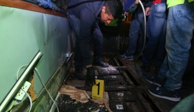 Un perro se inquietó bastante mientras pasaba por el bus semidestruido. Fiscalía Ecuador