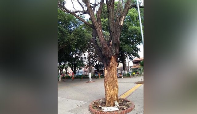 Responsabilizaron al alcalde César Rojas. César Obando