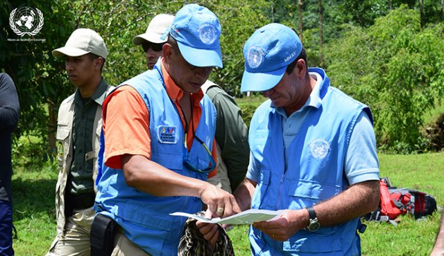 El organismo internacional también destacó que los excombatientes de las Farc y sus familias han desarrollado más de 40 proyectos productivos. Colprensa