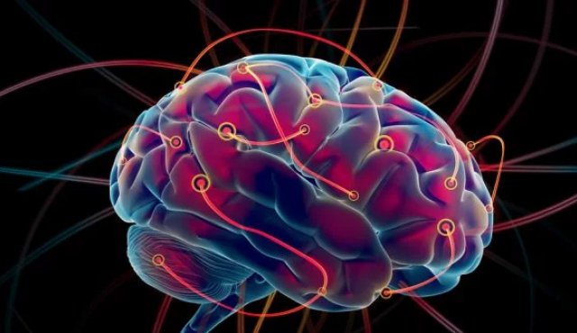 Cerebro. Internet