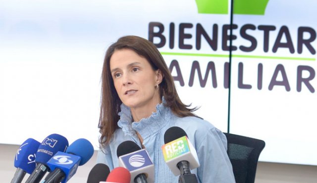 La directora del instituto pidió endurecer las penas contra los responsables de esos delitos. Colprensa