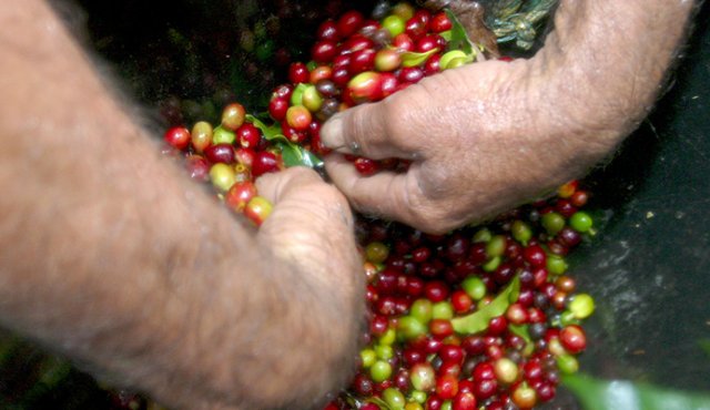 Llevaría a que a partir del 2019 se cobre un IVA del 18%. Colprensa
