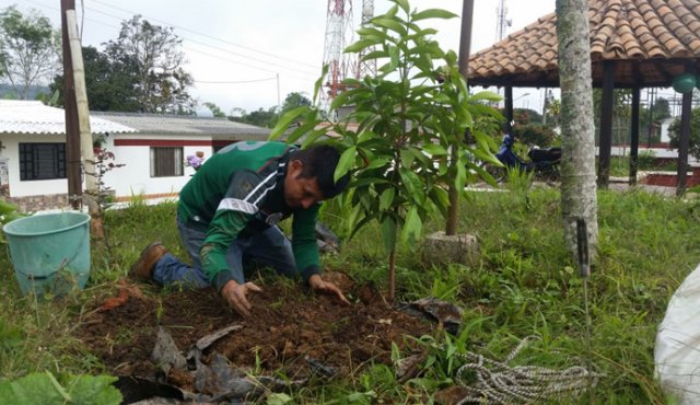 Sandy guerrero es el líder de la fundación Corazón Verde, creada en Ocaña hace cinco años con el objetivo de promover la reforestación de zonas afectadas por talla en la Provincia.
Javier Sarabia / La Opinión