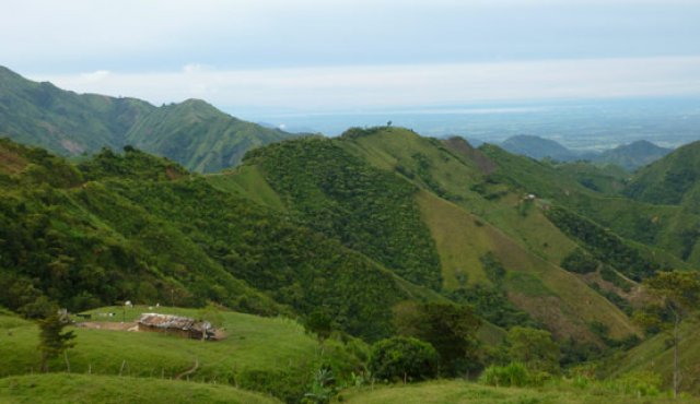 LA ZONA RURAL DE EL ZULIA podrá avanzar con nuevos procesos de restitución de tierras. La Opinión