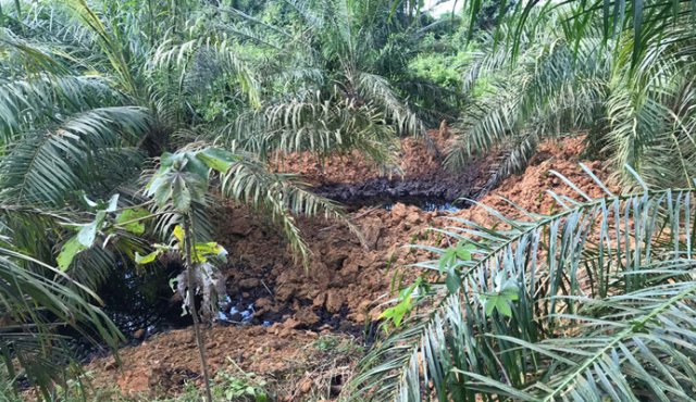 Este fin de semana ya ocurrió el pimer atentado, en la vereda Campo Giles (Tibú), que afectó los caños Batalla y Hoyo Pilón. Cortesía