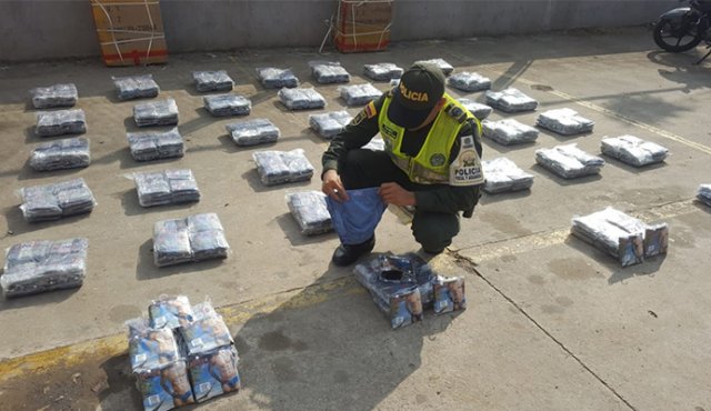 Continúan los planes de registro y control para mitigar este flagelo. Cortesía