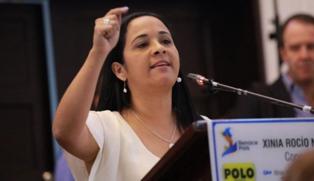 Xinia Navarro. Concejo de Bogotá