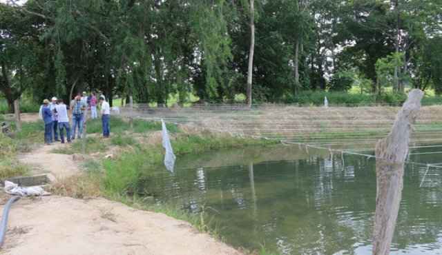 Finca Los Caballos. Archivo