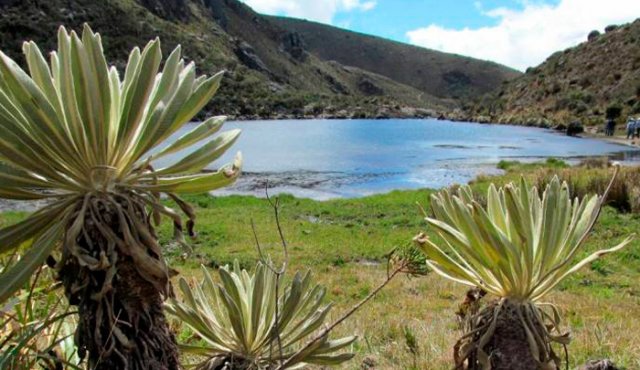 El 70 por ciento del macizo montañozo Santurbán pertenece a Norte de Santander. Archivo