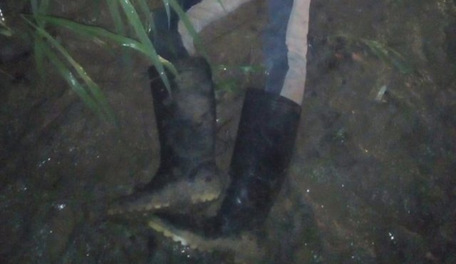 No se ha identificado a la víctima. Cortesía