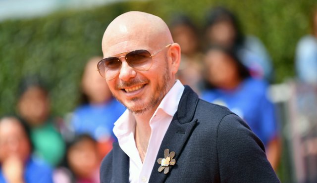 Pitbull. AFP