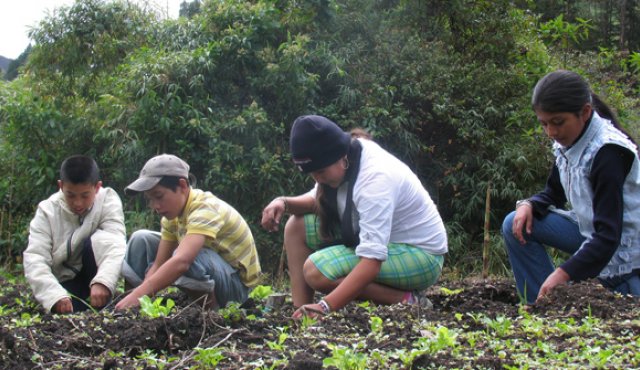 El Congreso Nacional de Cultivadores de Palma finalizó ayer en Bogotá con una serie de paneles sobre el sector. Archivo La Opinión
