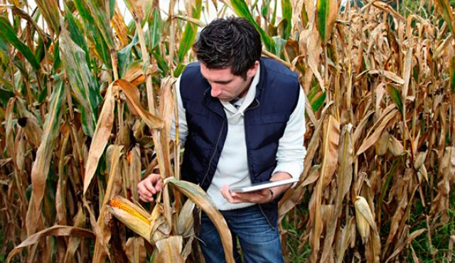 En Colombia se prevé que se desarrollen 120 millones de hectáreas para suplir las necesidades alimenticias de una población que se estima llegue a 9.000 millones. Colprensa