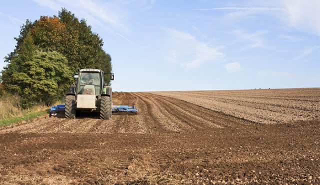 Esta red busca posicionar la producción agroecológica en el departamento por medio de capacitación, mejoramiento de los sistemas de producción y circuitos cortos de comercialización. Pixabay / Referencial