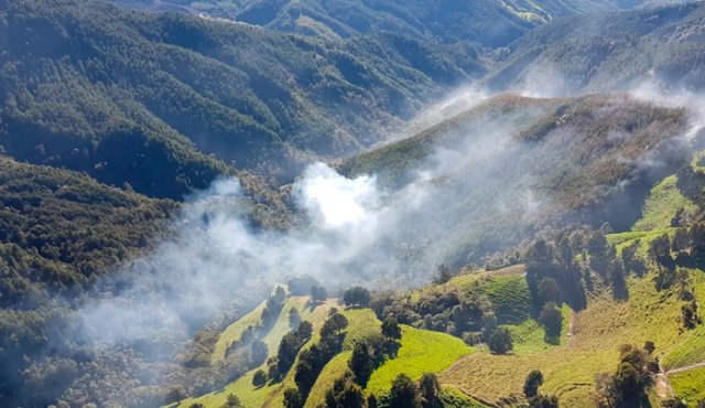 Formularon una política integral del manejo de los incendios forestales. Colprensa
