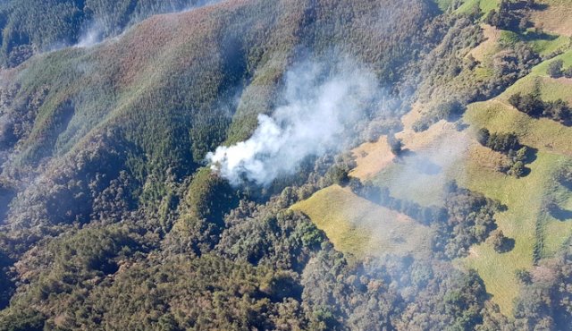 El funcionario manifestó que se movilizaron 8.100 miembros operativos del Sistema Nacional de Gestión del Riesgo, 98 máquinas para la extinción de incendios y 8.340 herramientas manuales. Colprensa