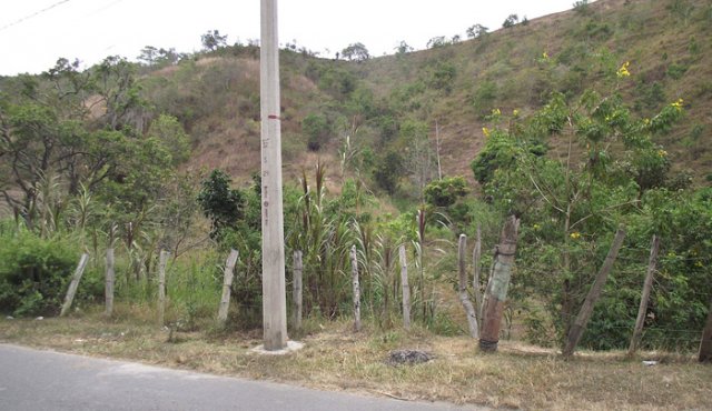 La víctima, que hasta el cierre de esta edición no había sido identificada, fue encontrada semidesnuda, con señales de tortura y una puñalada en el cuello. Cortesía