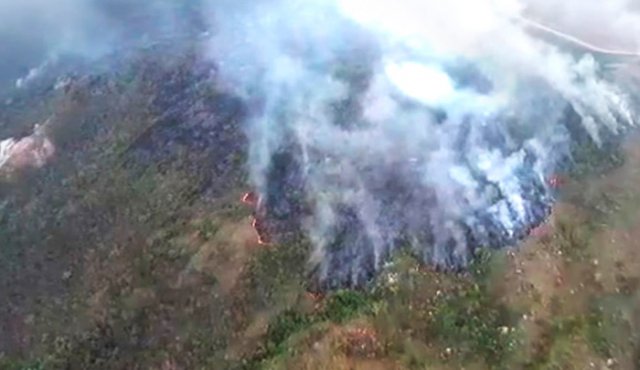 Desde hace ocho días que comenzaron los incendios forestales en Tasajero han sido varias las zonas afectadas de la montaña. Cortesía