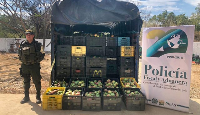 Estos alimentos están expuestos a contaminarse con bacterias, virus y parásitos, por las malas prácticas de cultivo, manipulación y transporte.
Policía