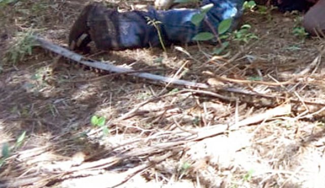 El cuerpo del hombre quedó boca abajo en el suelo. Cortesía
