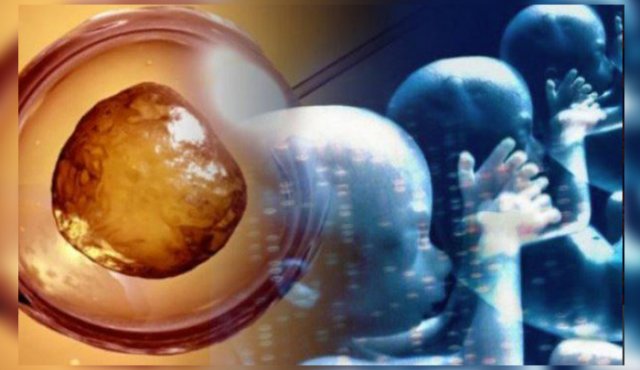 La comunidad científica internacional y las autoridades criticaron con dureza el experimento de He Jiankui, y el caso avivó los llamamientos a prohibir los bebés modificados con las tijeras moleculares "Crispr". @Solovnistesigue
