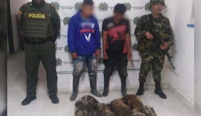 Cortesía Policía 