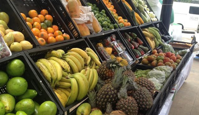 Alimentación sana.
Colprensa