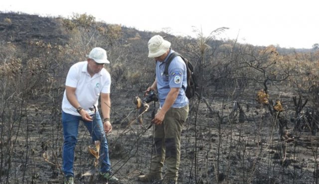 Funcionarios de Cormacarena inspeccionan los sitios de los incendios para evaluar el daño ambiental. Colprensa