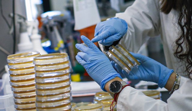 Un investigador clasifica las muestras en un laboratorio que está desarrollando pruebas para el coronavirus COVID-19 en el Centro de Salud Meridional Hackensack para Descubrimiento e Innovación, en Nueva Jersey. AFP