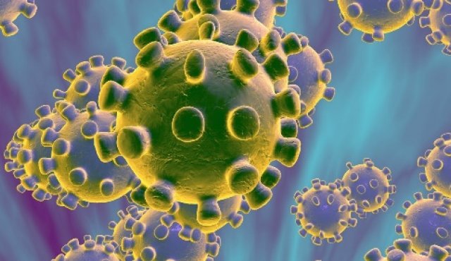 Coronavirus de la clase COVID-19. Colprensa