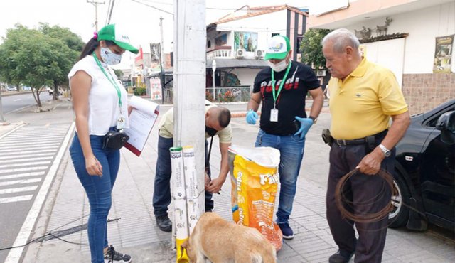 Mascotas en la calle. Cortesía