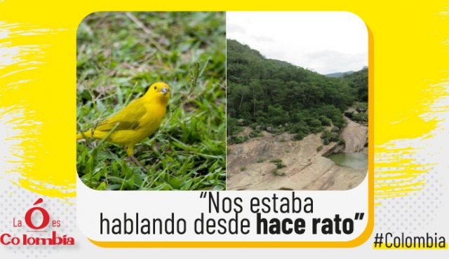 Los sectores turísticos se han visto beneficiados, según los expertos, durante este cuarentena pues se han podido recuperar naturalmente. La Opinión