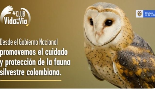 La campaña busca llamar la atención de todos los colombianos para que ayuden a divulgar el mensaje de cuidado y preservación de especies silvestres. Colprensa.
