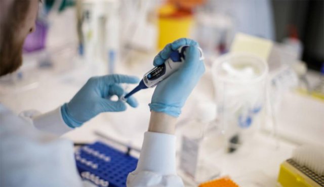 La Ivermectinapara se usa como tratamiento para ectoparasitosis, escabiosis pediculosis y dermodecidosis. Colprensa