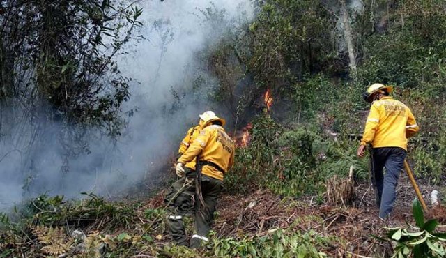 Incendio forestal en Pamplona. Cortesía- Gobernación Norte de Santander