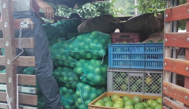 Los campesinos de la zona del Catatumbo venden los productos agrícolas en las plataformas virtuales. Cortesía