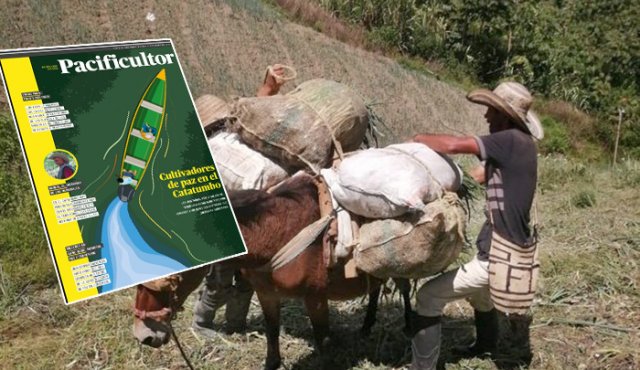 Los campesinos del Catatumbo y los gestores de paz serán los principales protagonistas en el nuevo periódico. Archivo y Cortesía
