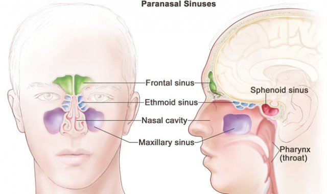 La mayoría de casos de sinusitis crónica se controla con terapia médica. Internet
