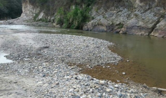 La Opinión Daicy Echeverry