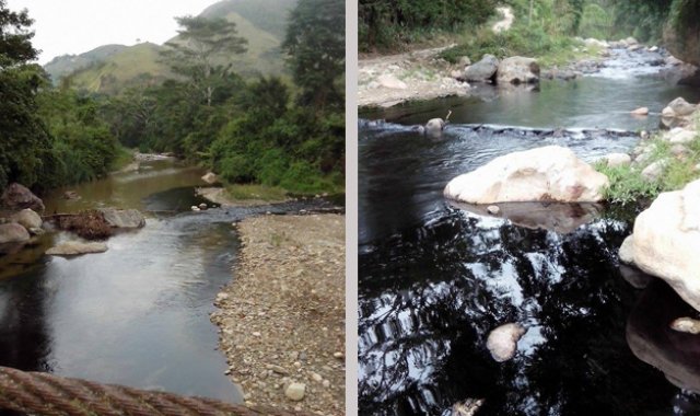 Libar Alexander Vergel