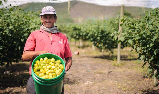 Ministerio de Agricultura