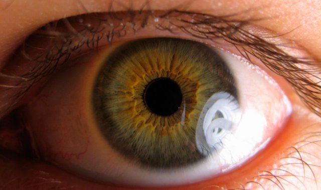 Internet | Refencial