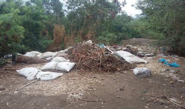 El Instituto Departamental de Salud no había sido notificado hasta el viernes de la situación. Cortesía