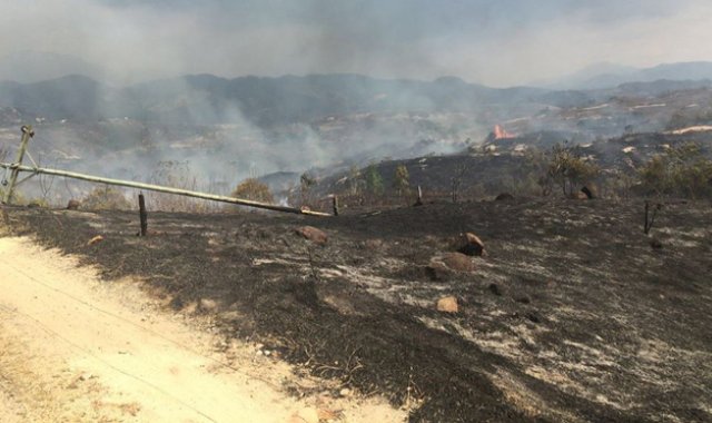 En las dos fincas afectadas solo se tenían pastizales por ser época de sequía. Las llamas no alcanzaron a llegar a la zona donde había animales de corral. Cortesía